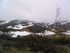 On the way to SOGNEFJORD